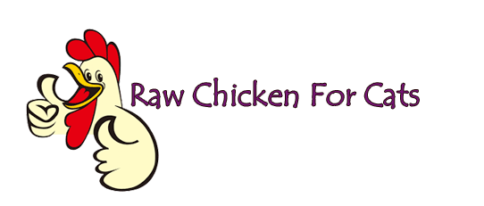 Raw Chicken For Cats